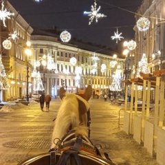 Люсёк Дмитриева, Санкт-Петербург