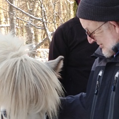 Clement Asselman, 72 года, Aalst