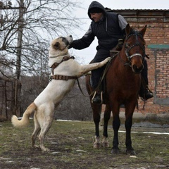 Басхан Парий, 44 года