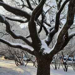 Khurshed Ganiev, Санкт-Петербург