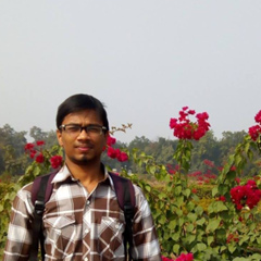 Kumar Mohit, 26 лет, Ranchi