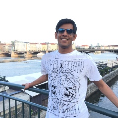 Patel Anvish, 34 года, Praha