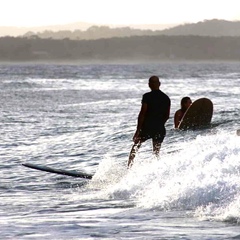 Jose Francisco Vega-Vallejos, 45 лет, Noosa Heads