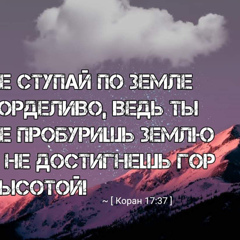 Тимур Абдурахмонов, 37 лет, Москва