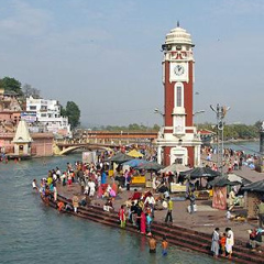 Heaven Haridwar, 40 лет, Haridwar