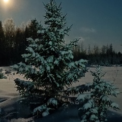 Александр Фадеев, Верещагино