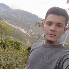 Sebastian Montenegro, 26 лет, Bogotá