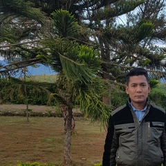 Phyo Ko-Ko, 37 лет, Lashio