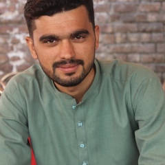 Zawar Ali, 24 года, Islamabad