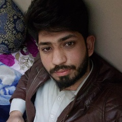 Syed Asim Hussain, 28 лет, California