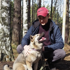 Роман Хаустов, Новокузнецк