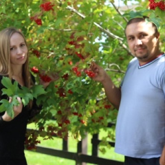 Павел Сапельников, Шамалган