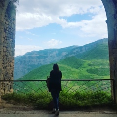 Tatev Romanowska, 32 года, Ереван