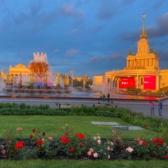 Светлана Наумкина, Москва