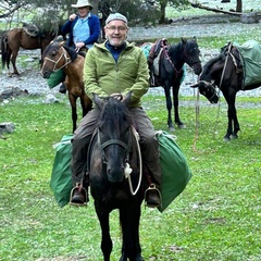 Дирк Шефер, 65 лет