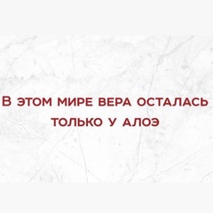 Ника Овезова, 24 года, Москва