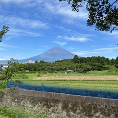 みく よしいけ, 22 года, Nagano