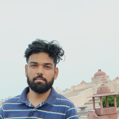 Aniket Srivastava, 27 лет, New Delhi