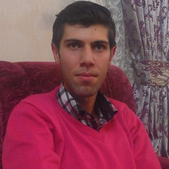 Ali Zabihian, 30 лет, Zanjan