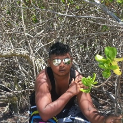 Nabeel Auckburally, Port Louis