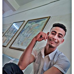 Ahmed Abdelnasser, 23 года, Qena