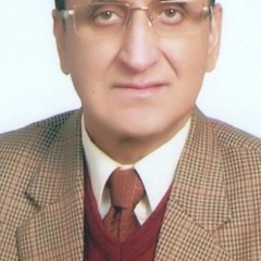 Ks Tomar, 69 лет, Shimla