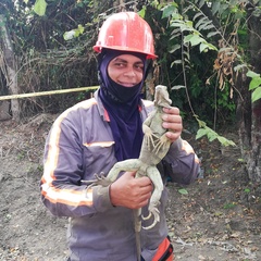 José-Luis Vasquez, 41 год, Bogotá