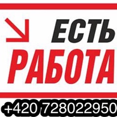 Работающий Европеец, 23 года