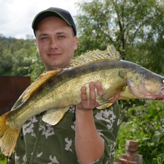 Анатолий Рыбаков, 40 лет, Снежинск