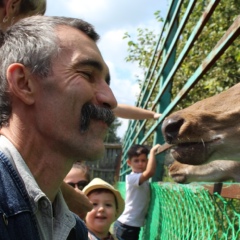 Костя Запорожский, Санкт-Петербург