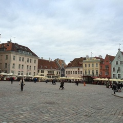 Zloi Cinik, Санкт-Петербург