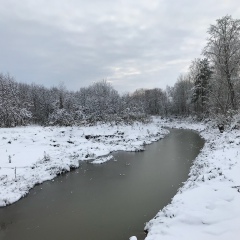 Ришат Шакиров, Кукмор