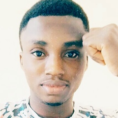 Godswill Francis, 29 лет, Cotonou