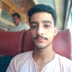 Sourabh Thakur, 25 лет, Shimla