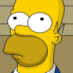 Homer Simpson, Springfield