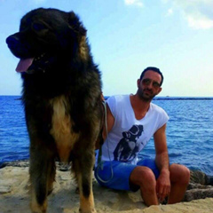 Jason Sergiou, 38 лет, Limassol