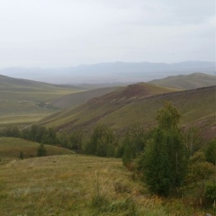 Виталя Чебодаев, Красноярск