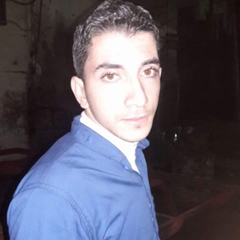 Ahmed Kamel, 32 года, Cairo