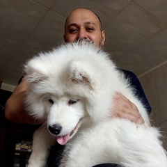 Elie Salameh, 43 года, Freetown