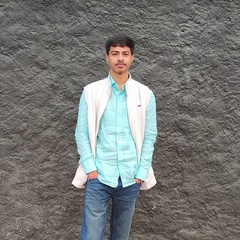 Sahil Choudhary, 20 лет, New Delhi