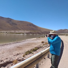 Rodrigo Labbe, Santiago