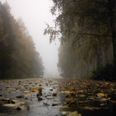 Антон Харчев, Екатеринбург