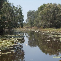 Kiastisak Kongkaew, 36 лет, Nakhon Si Thammarat