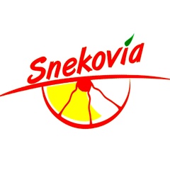 Snekovia Snekova, 33 года, Москва