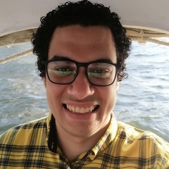 Mohammed Rashwan, Cairo