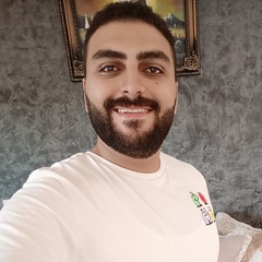 Kareem Alazizi, 29 лет, Giza