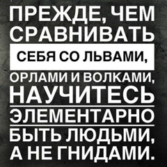 Дмитрий Помазан, 36 лет, Северодонецк