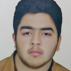 Ali Askarpour, 25 лет, Shiraz