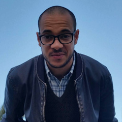 Elyes Kouki, 29 лет, Tunis