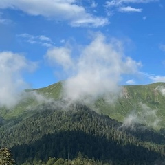 Татьяна Шамборант, Санкт-Петербург